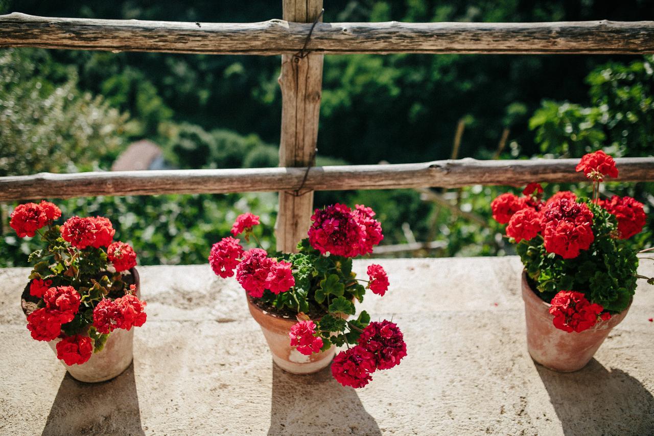 Bed and Breakfast Rosa E Valentino Ravello Exterior foto